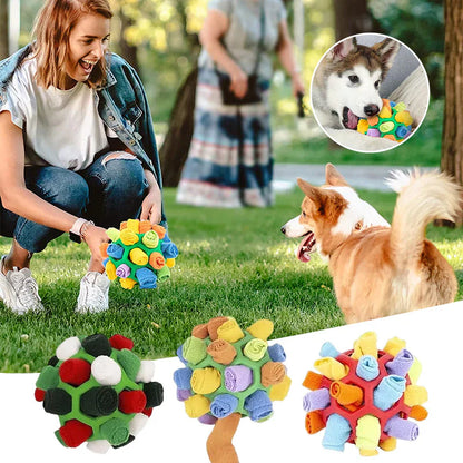 Slow Feeder Bowl for Dogs Interactive Snuffle Entertained